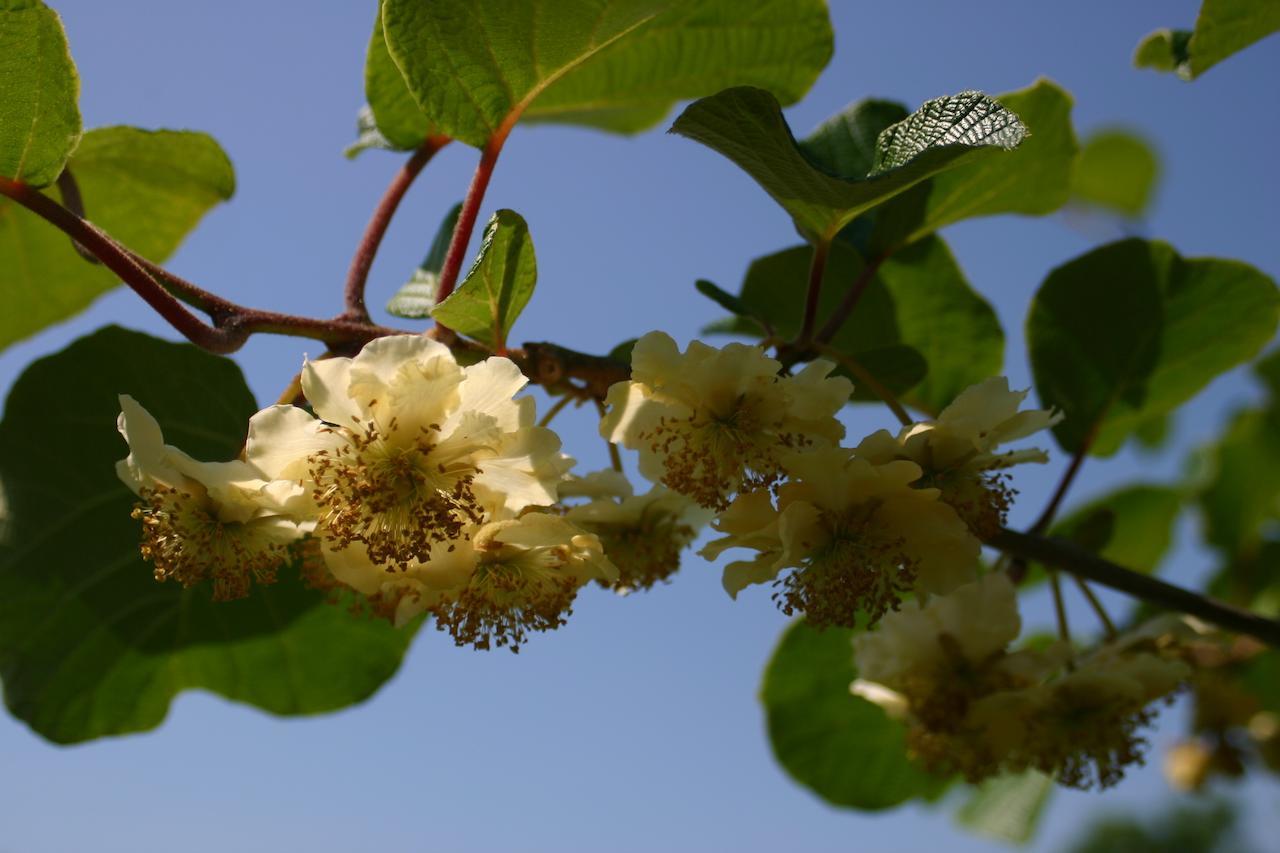 B&B Aan De Burgt Boekel Zewnętrze zdjęcie