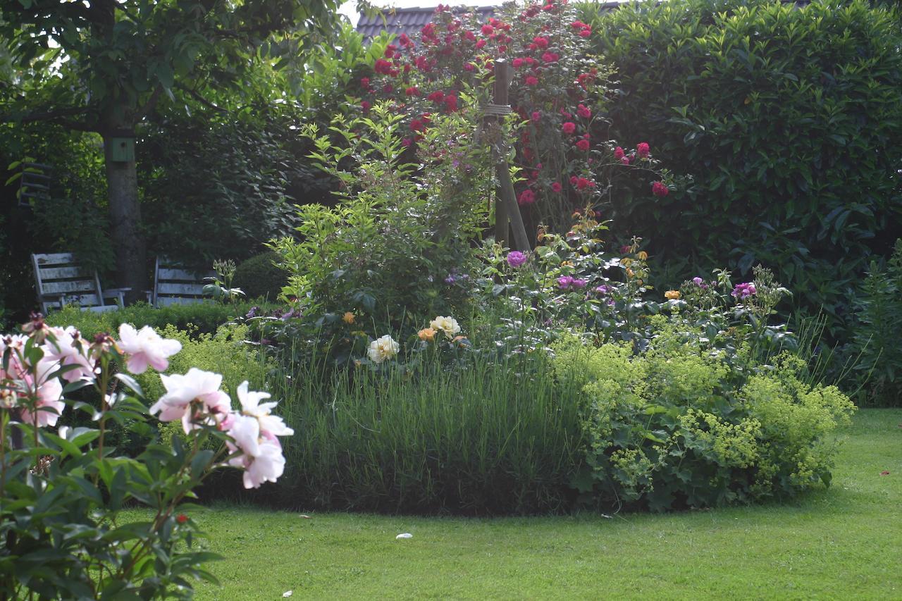 B&B Aan De Burgt Boekel Zewnętrze zdjęcie